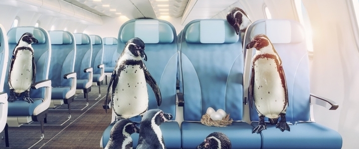 Pourquoi a-t-on (souvent) froid en avion ?