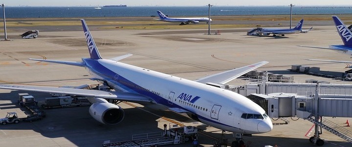L’œil de la rédac’ : Tout savoir sur All Nippon Airways